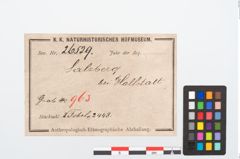 Etikett zu Bronzetutulusscheibenfibel (NHMW-PRAE-026529)